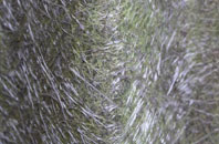 Crowhill fibreglass roof work